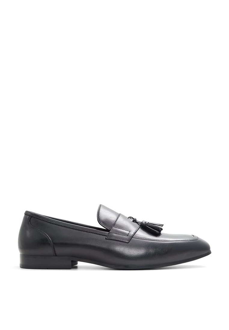 ALDO Kao Loafers