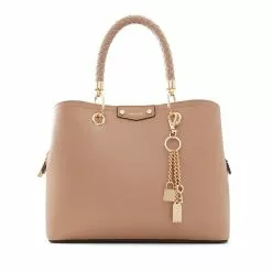 ALDO Lothycan Tote Bag