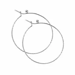 ALDO Rarang Earrings