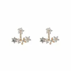 ALDO Eowiliniel Front Back Earrings