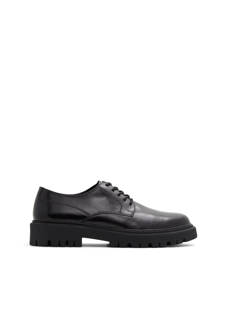 ALDO Segal Lace Up Shoes