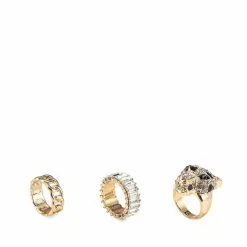 ALDO Oneir Rings Set