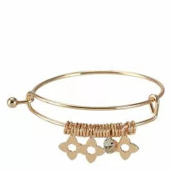 ALDO Aaedien Charm Bangle