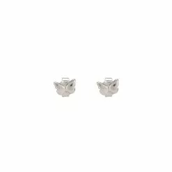 ALDO Cadocos Stud Earrings