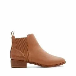 ALDO Ranaver Ankle Boots