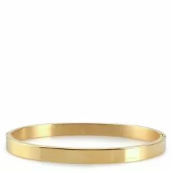 ALDO Wauth Hinge Bracelet