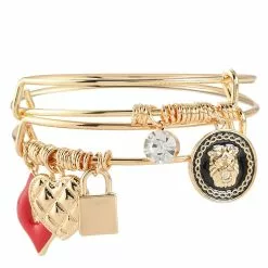 ALDO Liylaa Charm Bangle
