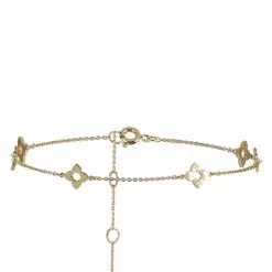 ALDO Haiecan Anklet