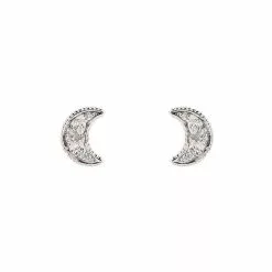 ALDO Javaldar Earrings
