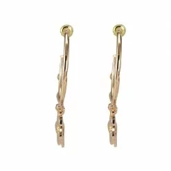 ALDO Zaligan Hoop Earrings