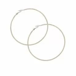 ALDO Thiwet Hoop Earrings