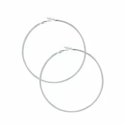 ALDO Thiwet Hoop Earrings